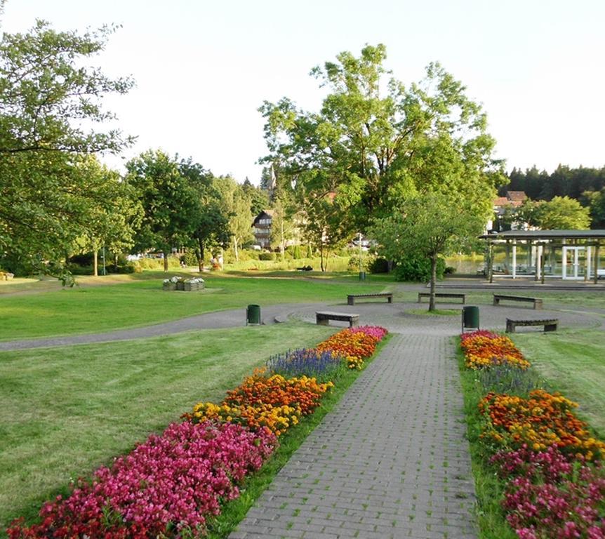 Premium-Ferienwohnungen Bergblick Im Haus Hopfe Goslar Esterno foto