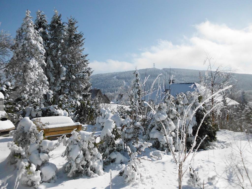 Premium-Ferienwohnungen Bergblick Im Haus Hopfe Goslar Esterno foto