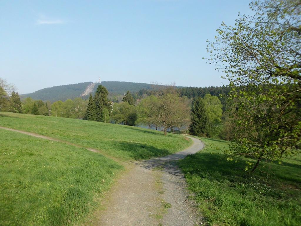 Premium-Ferienwohnungen Bergblick Im Haus Hopfe Goslar Esterno foto