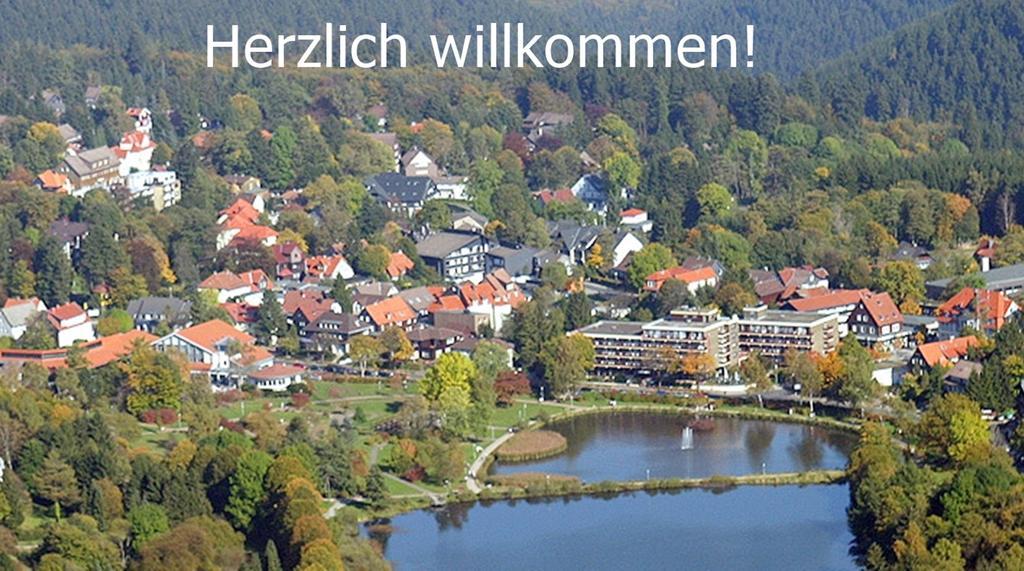 Premium-Ferienwohnungen Bergblick Im Haus Hopfe Goslar Esterno foto